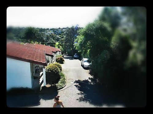 Browns Bay Olive Tree Motel & Apartment Okura Bush Екстериор снимка